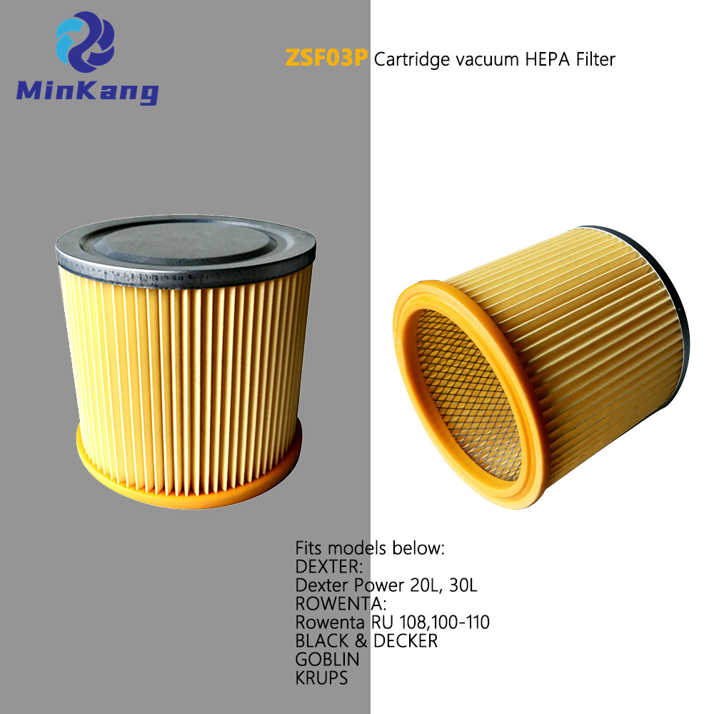 ZSF03P Cartridge vacuum HEPA Filter for DEXTER ROWENTA BLACK & DECKER GOBLIN KRUPS vacuum cleaner parts