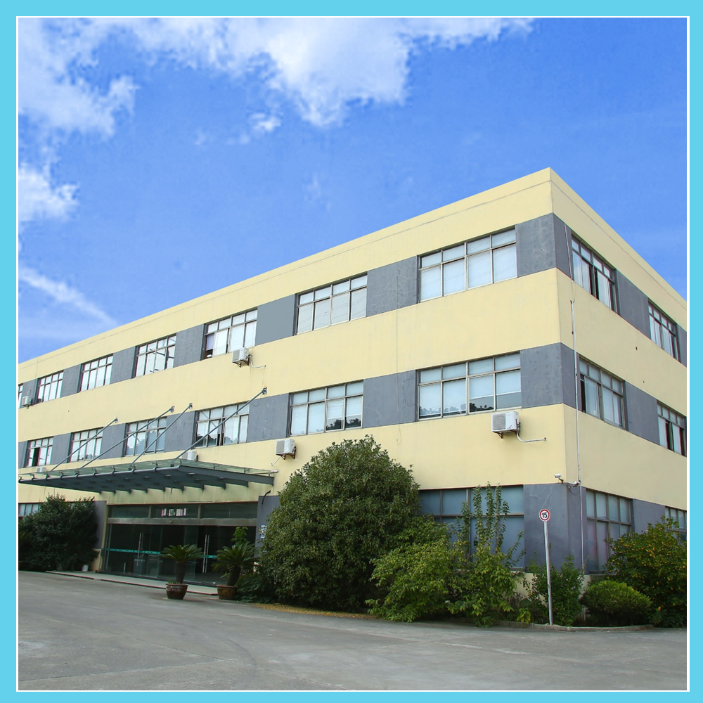 Our company